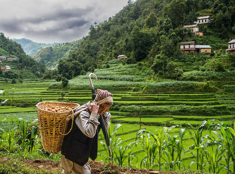 Nepal - Photo credit: Sharada Prasad / Foter / Creative Commons Attribution 2.0 Generic (CC BY 2.0)