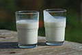 A glass of milk (left) and a glass of buttermilk (right). Author Ukko-wc