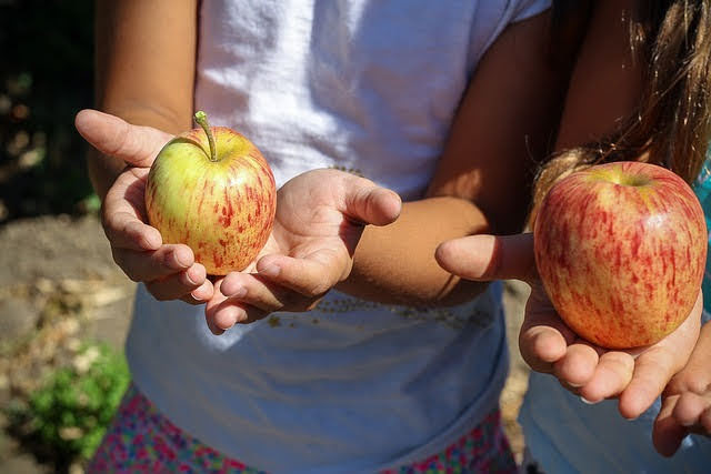 Frutta e verdura nelle scuole - Photo credit: Foto di Aline Ponce da Pixabay 
