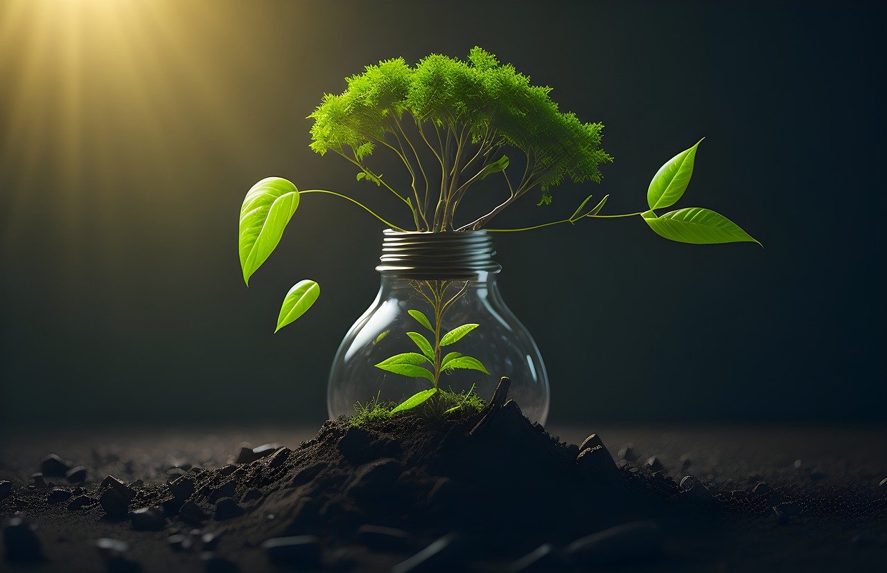 Image of lightbulb with plants growing out of it. Credit - Skyoverse via Pixabay 