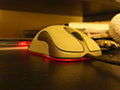 Computer mouse - Foto di Wadofglue