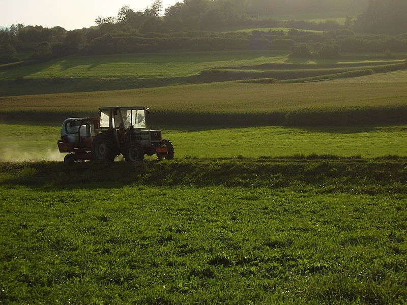 campo agricolo - foto di Vermondo