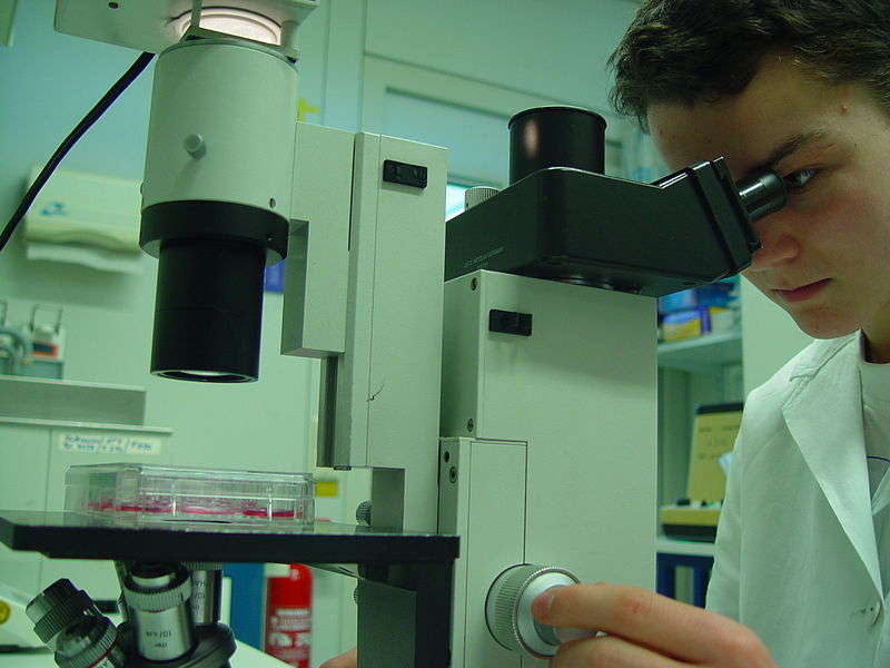 Medicine Research - Foto di Heidelberger Life-Science Lab