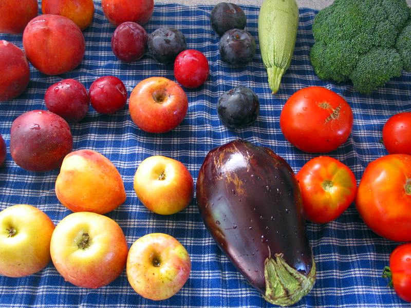 Frutta e verdura - foto di Emerika 